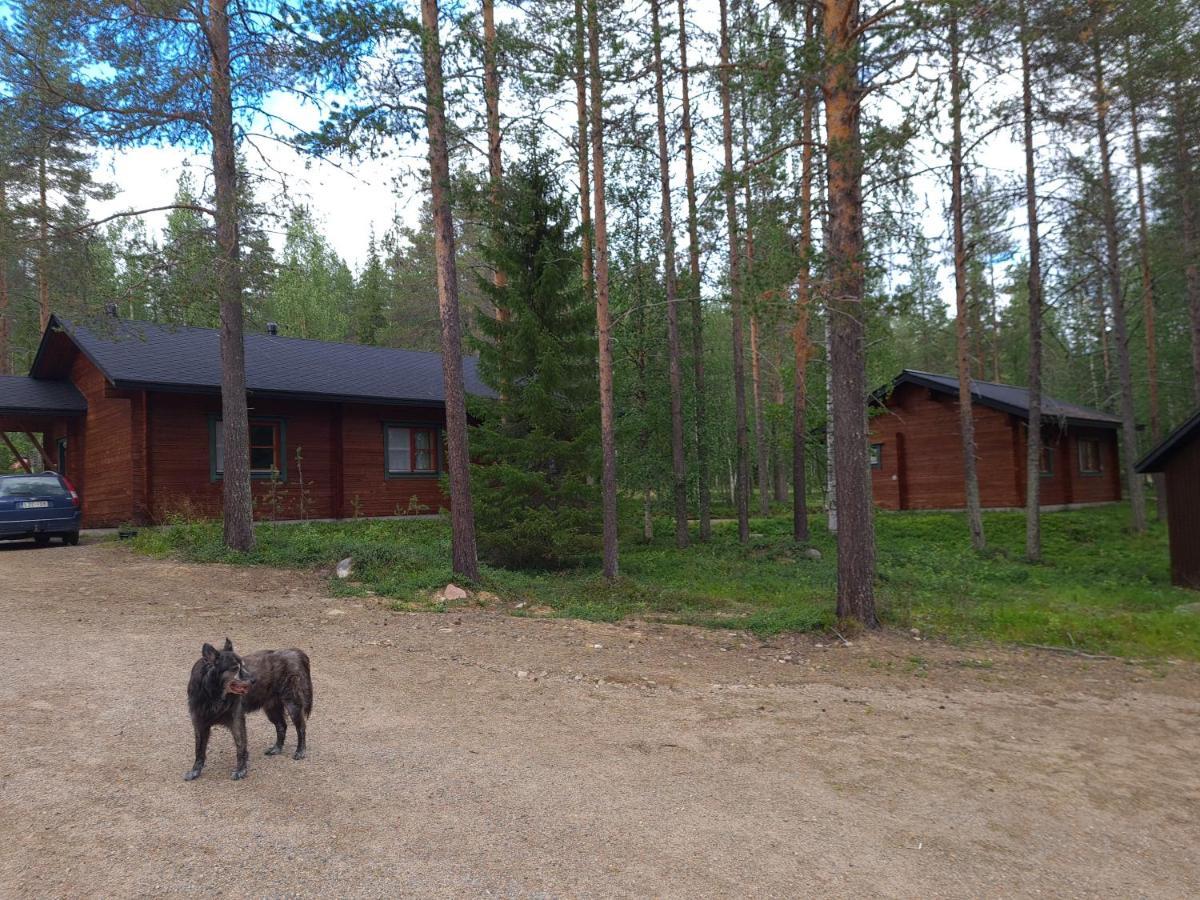 Silver Fox Hostel Экясломполо Экстерьер фото